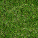 Avebury 37mm Artificial Grass