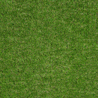 Avebury 37mm Artificial Grass