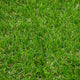 Avebury 37mm Artificial Grass