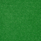 Light Green Outdoor Carpet