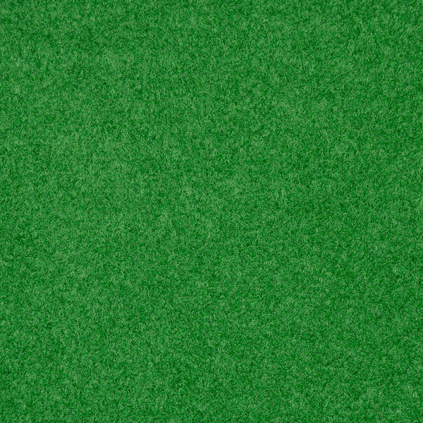 Light Green Outdoor Carpet