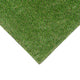 Oxhill 25mm Artificial Grass