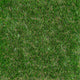 Oxhill 25mm Artificial Grass 5m