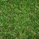 Oxhill 25mm Artificial Grass