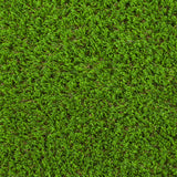 Orchid 37mm Artificial Grass