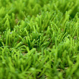 Daisy 40mm Artificial Grass