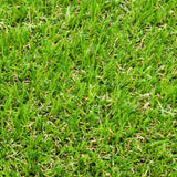 Damson 37mm Artificial Grass