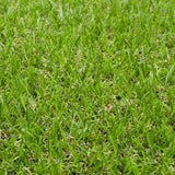 Ravendale 19mm Artificial Grass