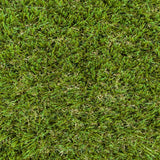 Holly 42mm Artificial Grass