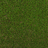 Wintergreen 40mm Artificial Grass