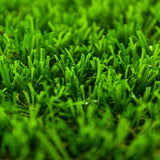 Yellowstone 40 Artificial Grass