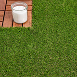 Askham 37mm Artificial Grass