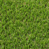 Askham 37mm Artificial Grass