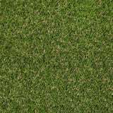 Askham 37mm Artificial Grass