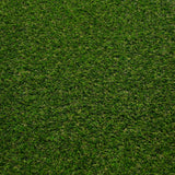 Lassen 30 Artificial Grass