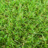 Maplespring 30mm Artificial Grass