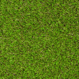 Elderberry 42mm Artificial Grass