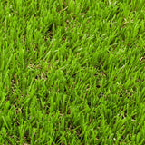 Elderberry 42mm Artificial Grass