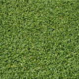 Homestead 13mm Artificial Grass