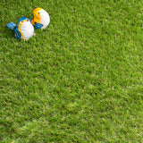 Lakebank 30mm Artificial Grass