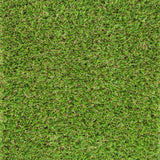 Larchwood 22mm Artificial Grass