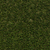 Phoenix 32 Artificial Grass