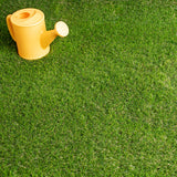 Snowdrop 37mm Artificial Grass